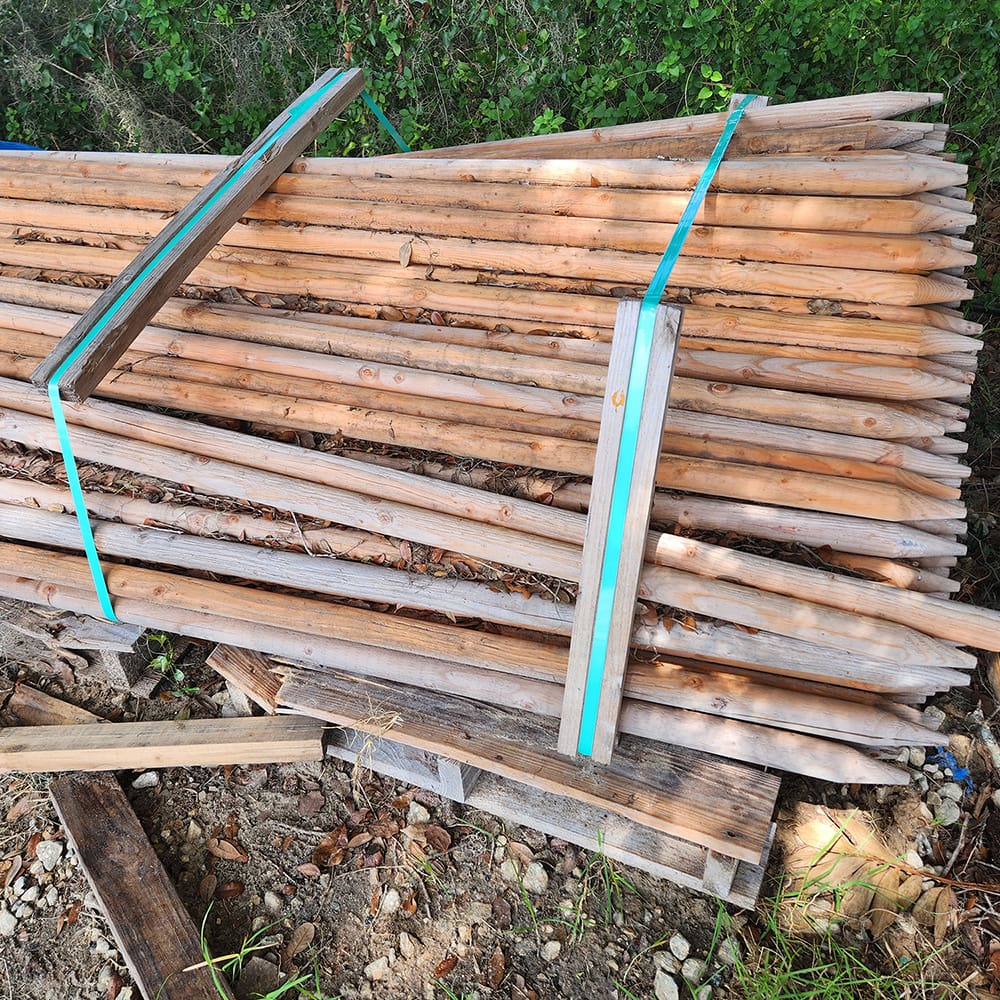 LodgePoles