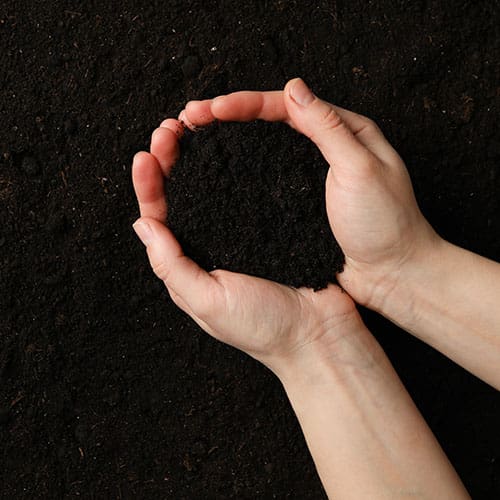 Woman hold soil on soil background, top view